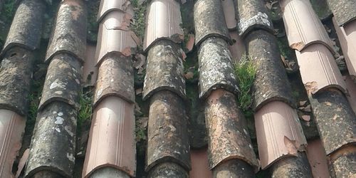 Pulire il tetto e la grondaia Padova Piove di Sacco