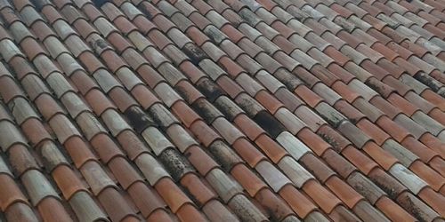 Rimozione foglie dal tetto e dalla grondaia Padova